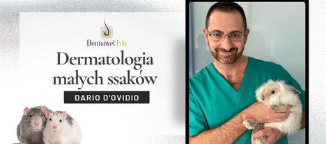 obraz szkolenia