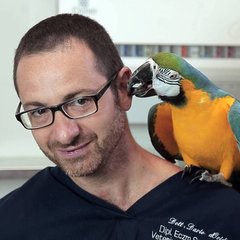 okrągły obraz prowadzącego