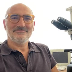 okrągły obraz prowadzącego